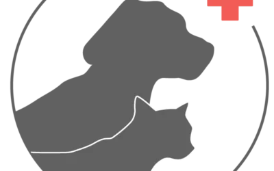 The Lifesaving Leash: Why Canine & Pet First Aid is Essential for Dog Walking