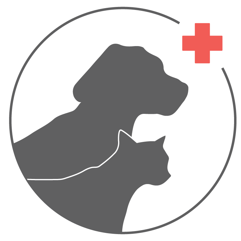 Illustration of a dog and a cat outline with a medical cross