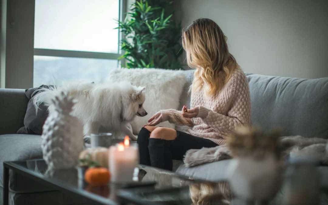 The Hidden Dangers of Air Fresheners and Scented Candles for Pets